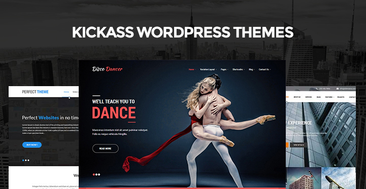 14 Kickass WordPress Themes for Creative and Portfolio Websites