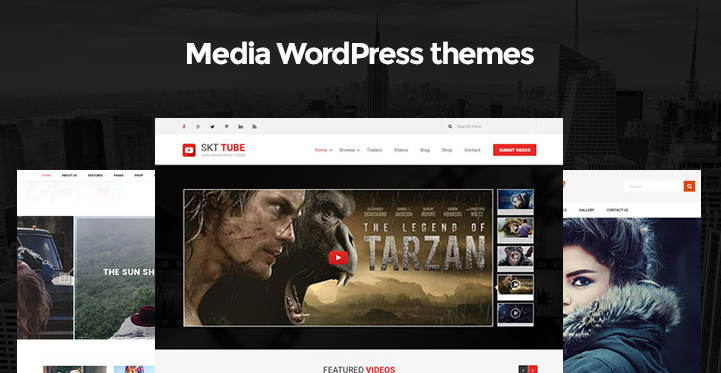 Media WordPress Themes for Multimedia and Media Related Websites