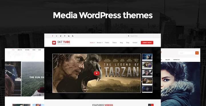 6 Media WordPress Themes for Multimedia and Media Related Websites