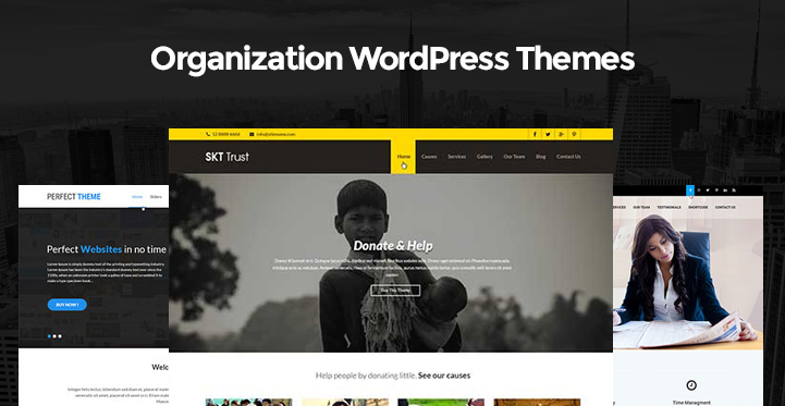 Organization WordPress Themes