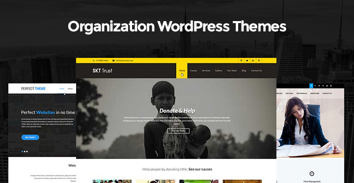 22 Organization WordPress Themes for Organisation and Community Websites