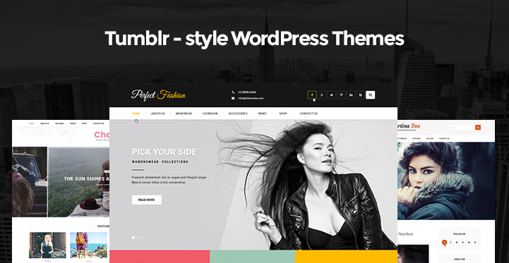 7 Tumblr Style WordPress Themes Tumblr Styled Websites Using WP