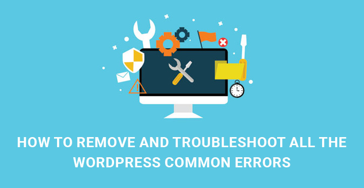 How to Remove and Troubleshoot All the WordPress Common Errors?