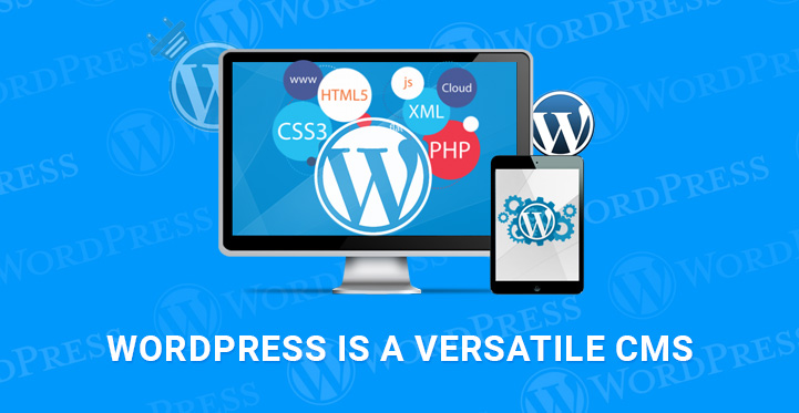 WordPress versatile CMS