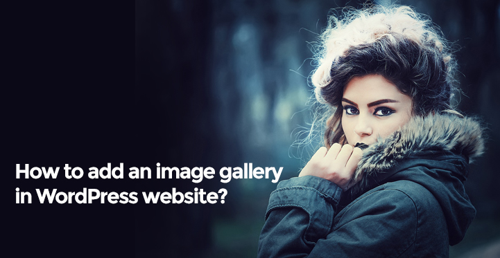 How to Instantly Add Image Gallery in WordPress Website?