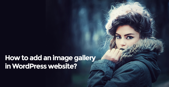 Image Gallery in WordPress