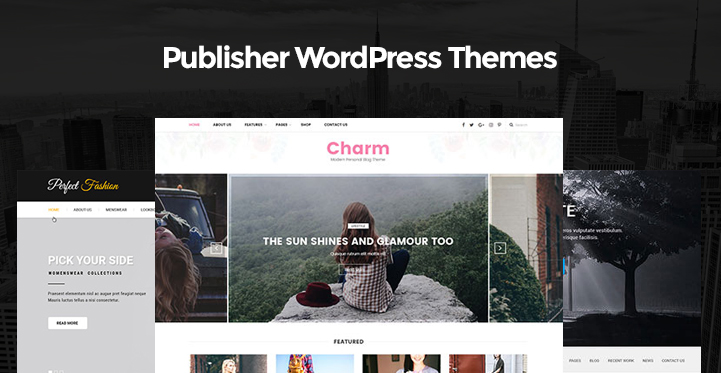 Publisher WordPress Themes