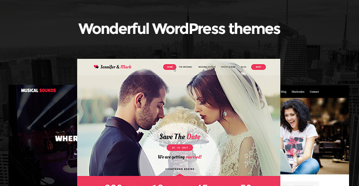 Wonderful WordPress Themes