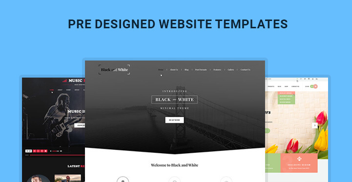 Pre Designed Website Templates