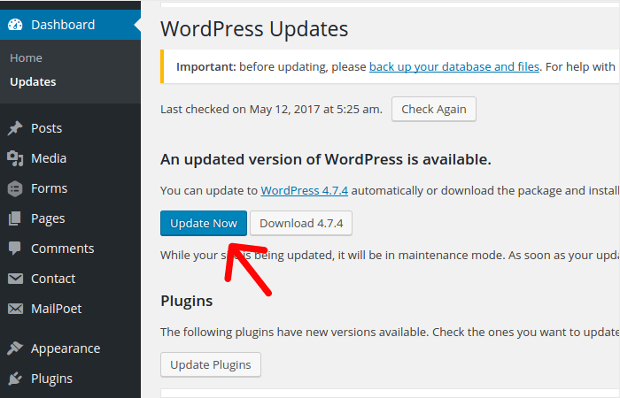 wordpress update