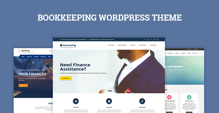 Bookkeeping WordPress Themes