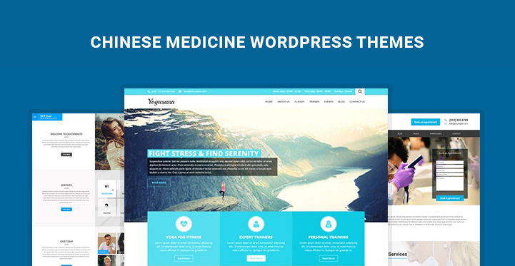 Chinese Medicine WordPress Themes