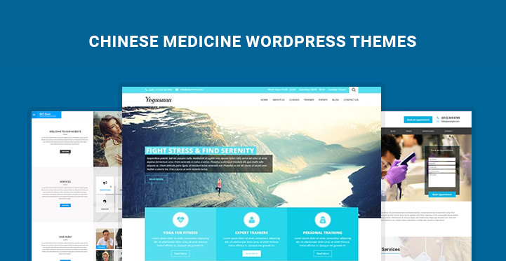 8 Top Chinese Medicine WordPress Themes for Holistic Healing