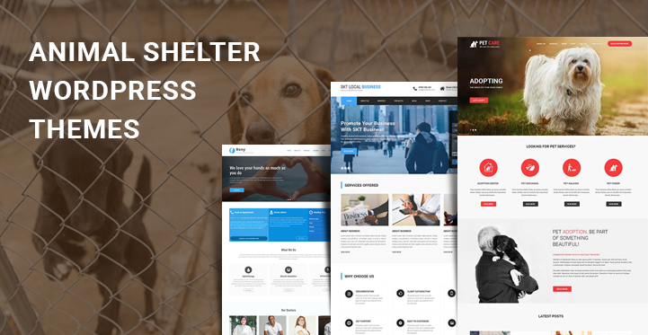 animal rescue WordPress themes