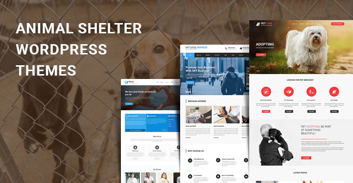 6 Animal Rescue WordPress Themes for Helping Save Animal Websites