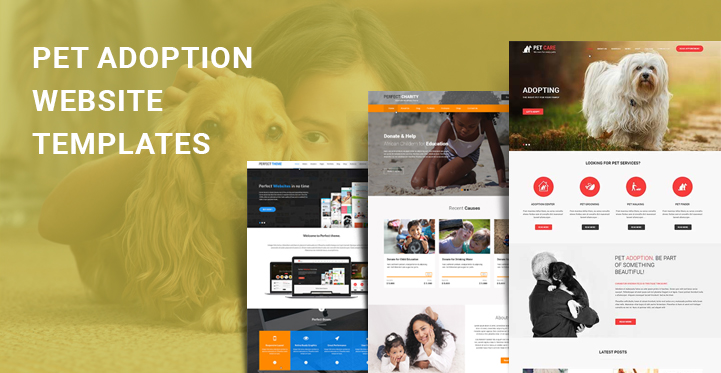 pet adoption WordPress themes