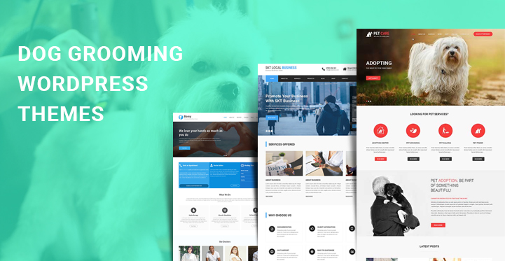 dog grooming WordPress themes