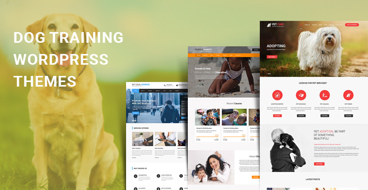 10+ Dog Training WordPress Themes for Canine Training Websites