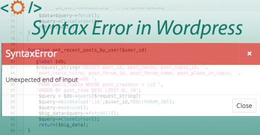 How To Fix The Syntax Error In WordPress Website SKT Themes