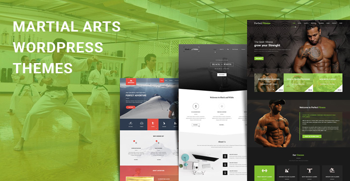 18 Martial Arts WordPress Themes for Karate MMA Training Schools