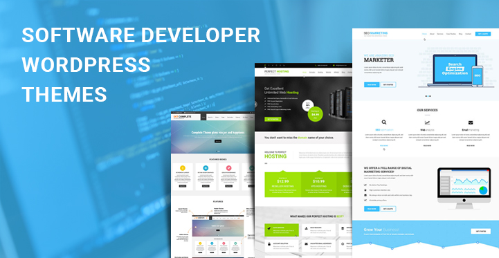 Software Developer WordPress Themes for Software Development Companies