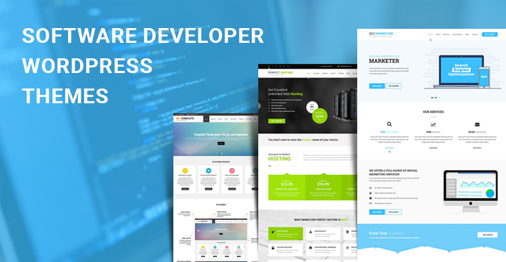 software developer WordPress themes