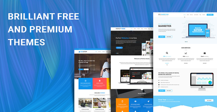 brilliant free premium themes