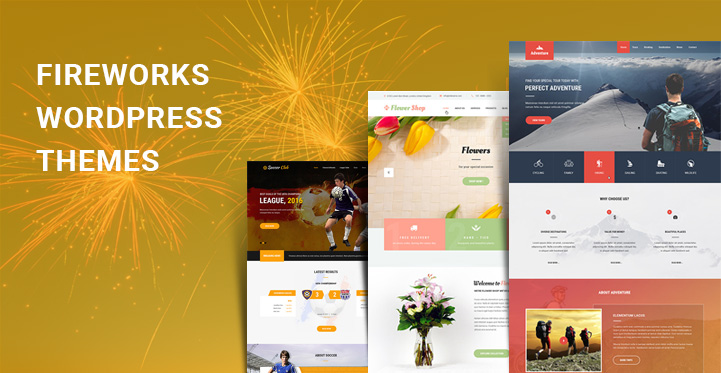 11 Best Fireworks WordPress Themes for Pyrotechnic Companies
