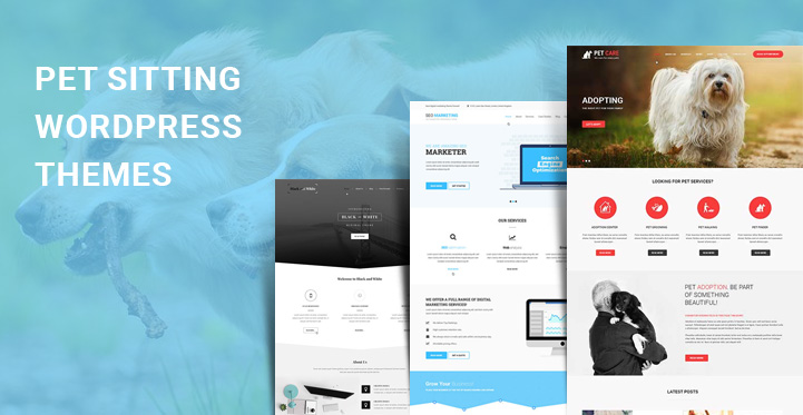 Pet Sitting WordPress Themes for Pet and Animal Trainer Websites