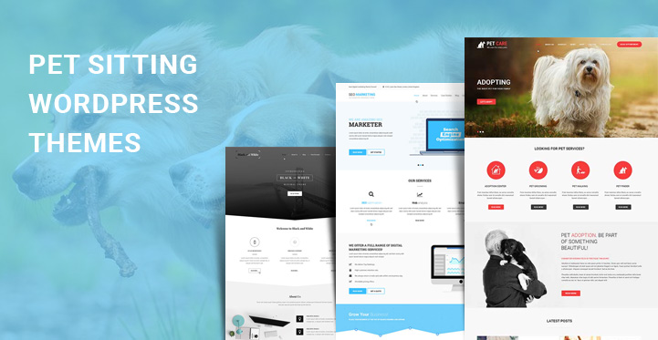 9 Pet Sitting WordPress Themes for Pet and Animal Trainer Websites