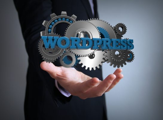 WordPress For Your Website