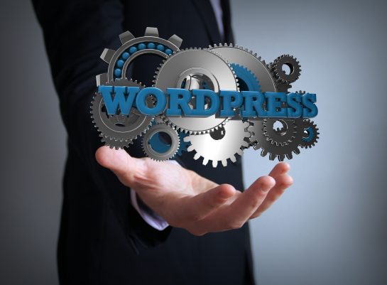 Easy Ways to Using WordPress For Your Website