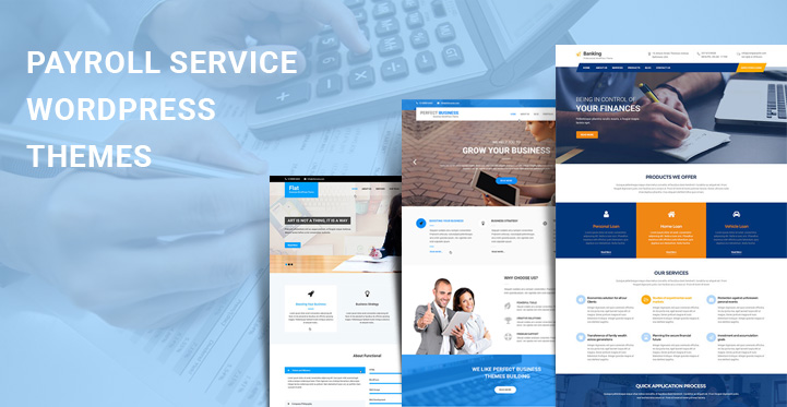 Payroll Service WordPress Themes for Financial Agent CA CPAs HR