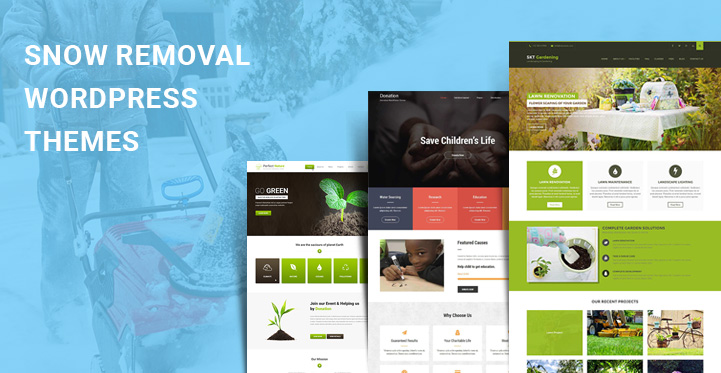 Snow Removal WordPress Themes