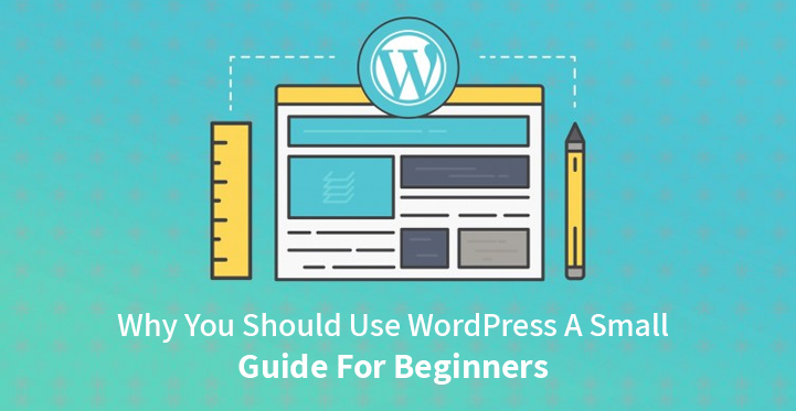 Why You Should Use WordPress (A Small Guide For Beginners)