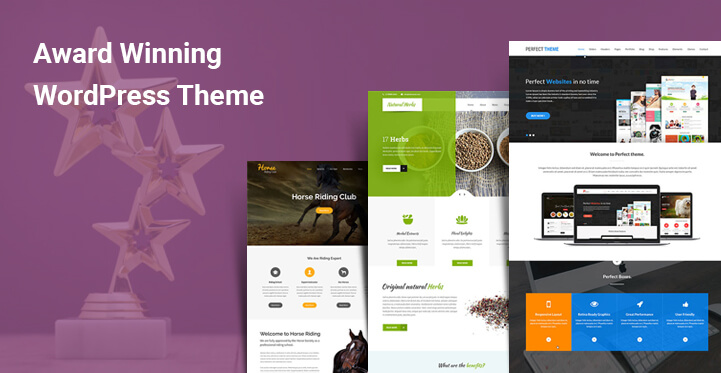 Award Winning WordPress Themes