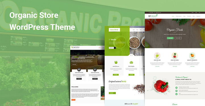 Organic Store WordPress Themes For Natural Fresh Healthy Food Stores