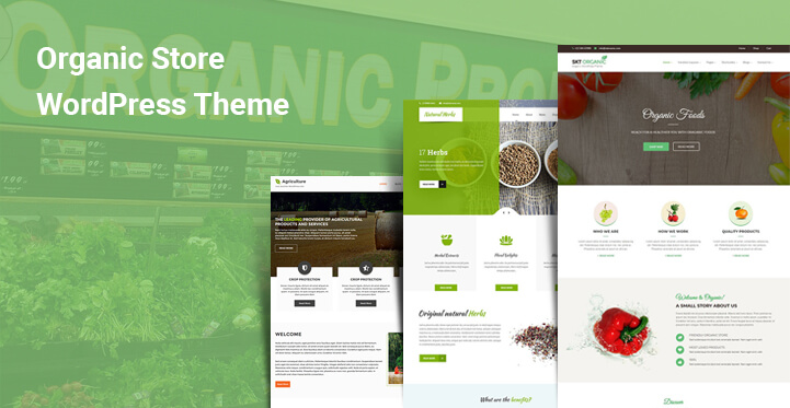 11 Organic Store WordPress Themes For Natural Fresh Healthy Food Stores