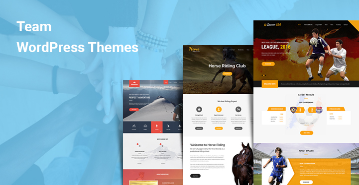 12 Team WordPress Themes for Sports NGO Staff Society Community