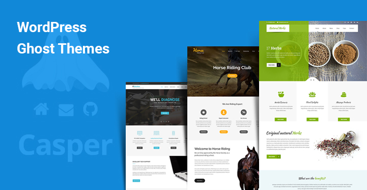9 Best WordPress Ghost Themes for Similar to Ghost CMS Website Appearance