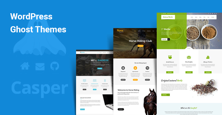 WordPress Ghost Themes