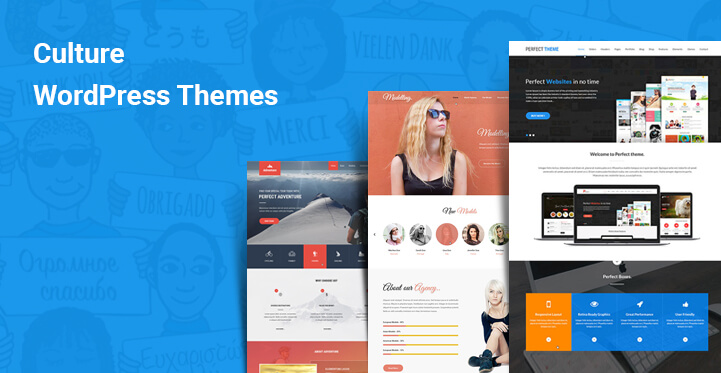 culture wordpress themes