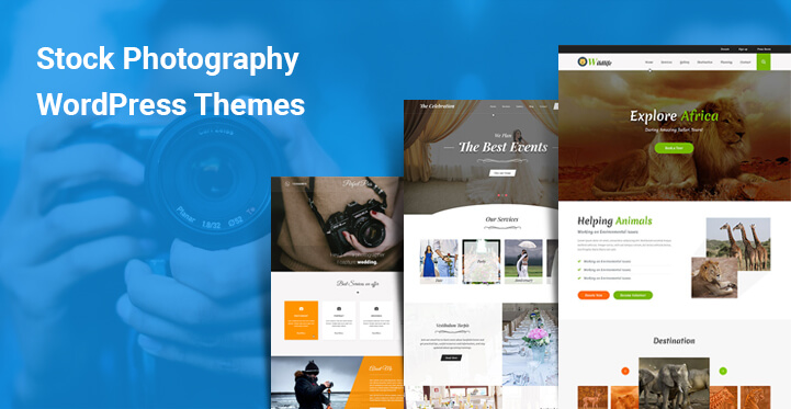 12 Stock Photography WordPress Themes for Portfolio Photographers Online Profile