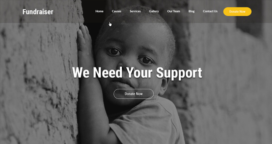 fundraiser WordPress theme