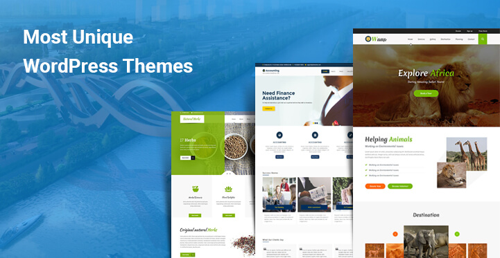 Most Unique WordPress Themes