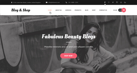 blog shop wordPress themes