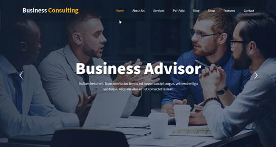 Business Consulting