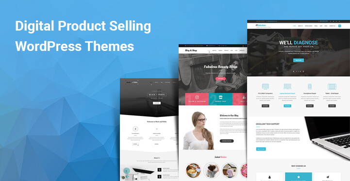Digital Product Selling WordPress Themes are Just What You Need to Set Up an Online store
