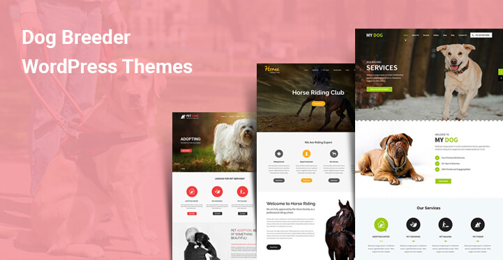 7 Dog Breeder WordPress Theme is Essential for Any Pet Animal Website