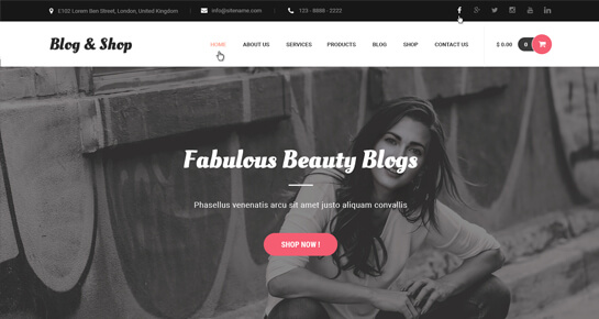 Fashion Blog WordPress theme
